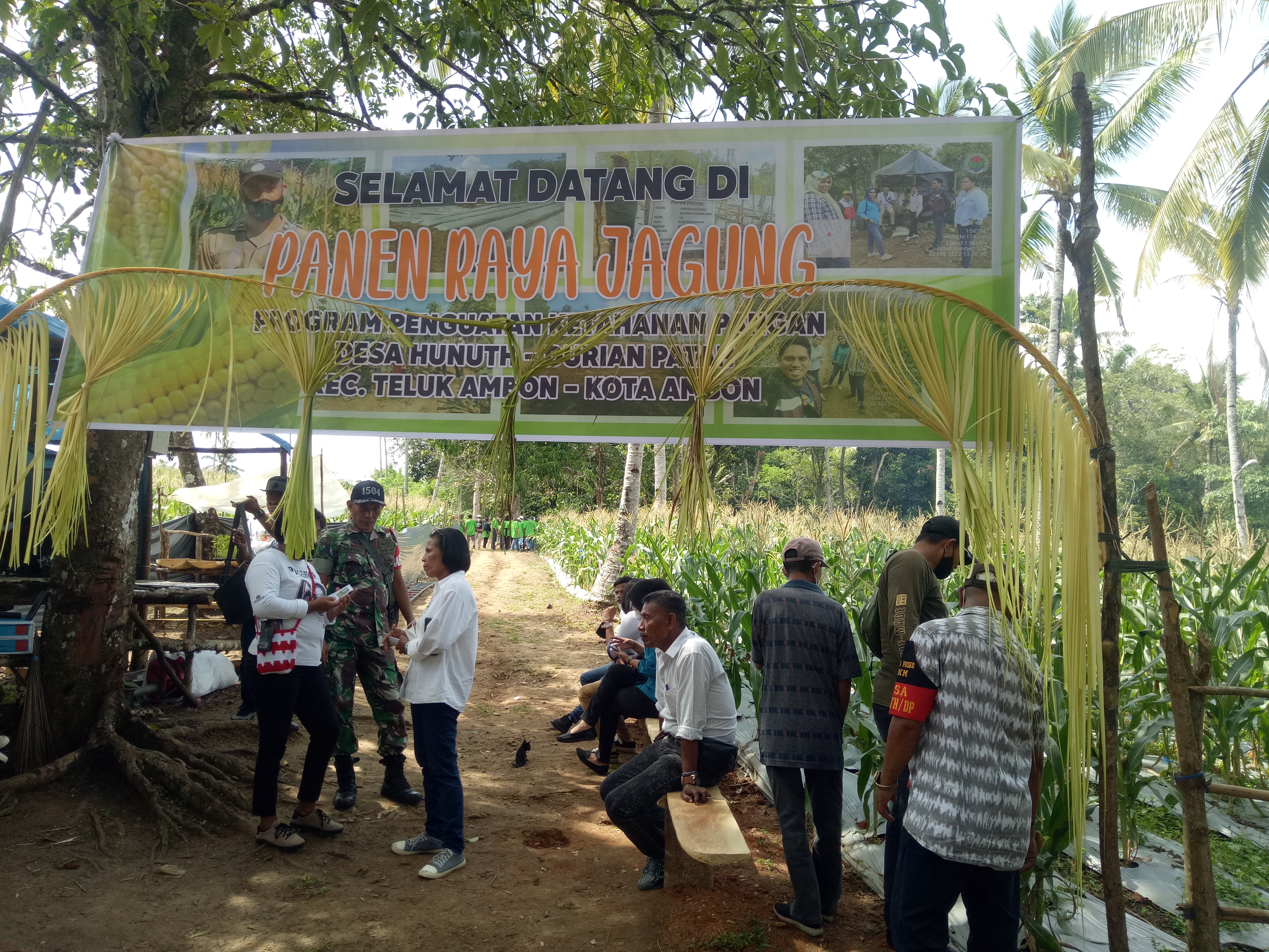 KELOMPOK TANI BHINEKA TUNGGAL IKA GELAR PANEN RAYA JAGUNG